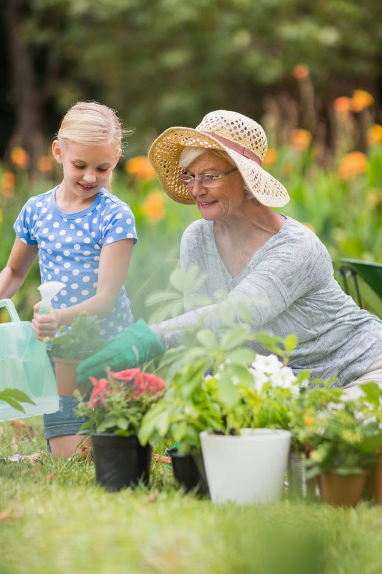 Happy grandmother with her granddaughter gardening on a sunny day