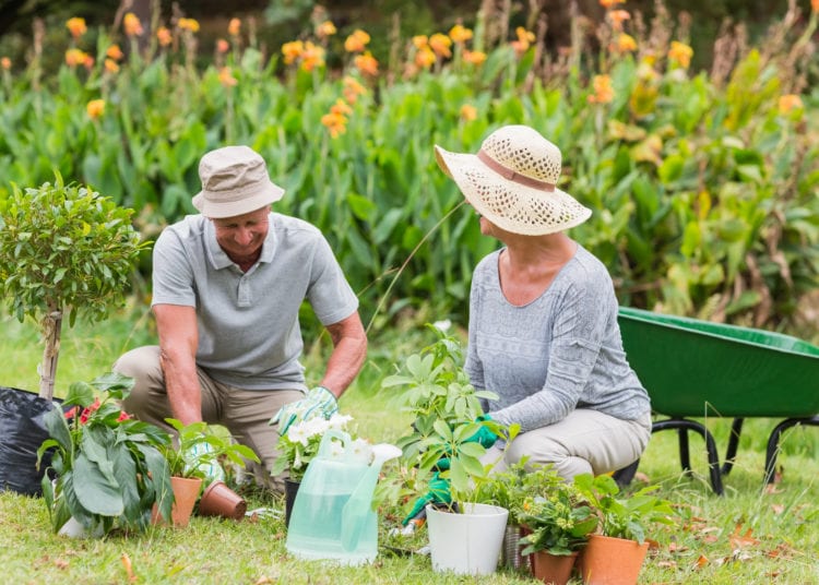 Happy grandmother and grandfather gardening on a sunny day