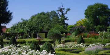 Beautiful garden