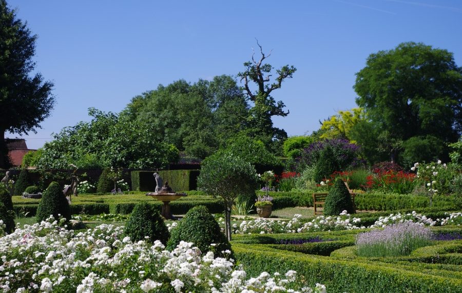 Beautiful garden