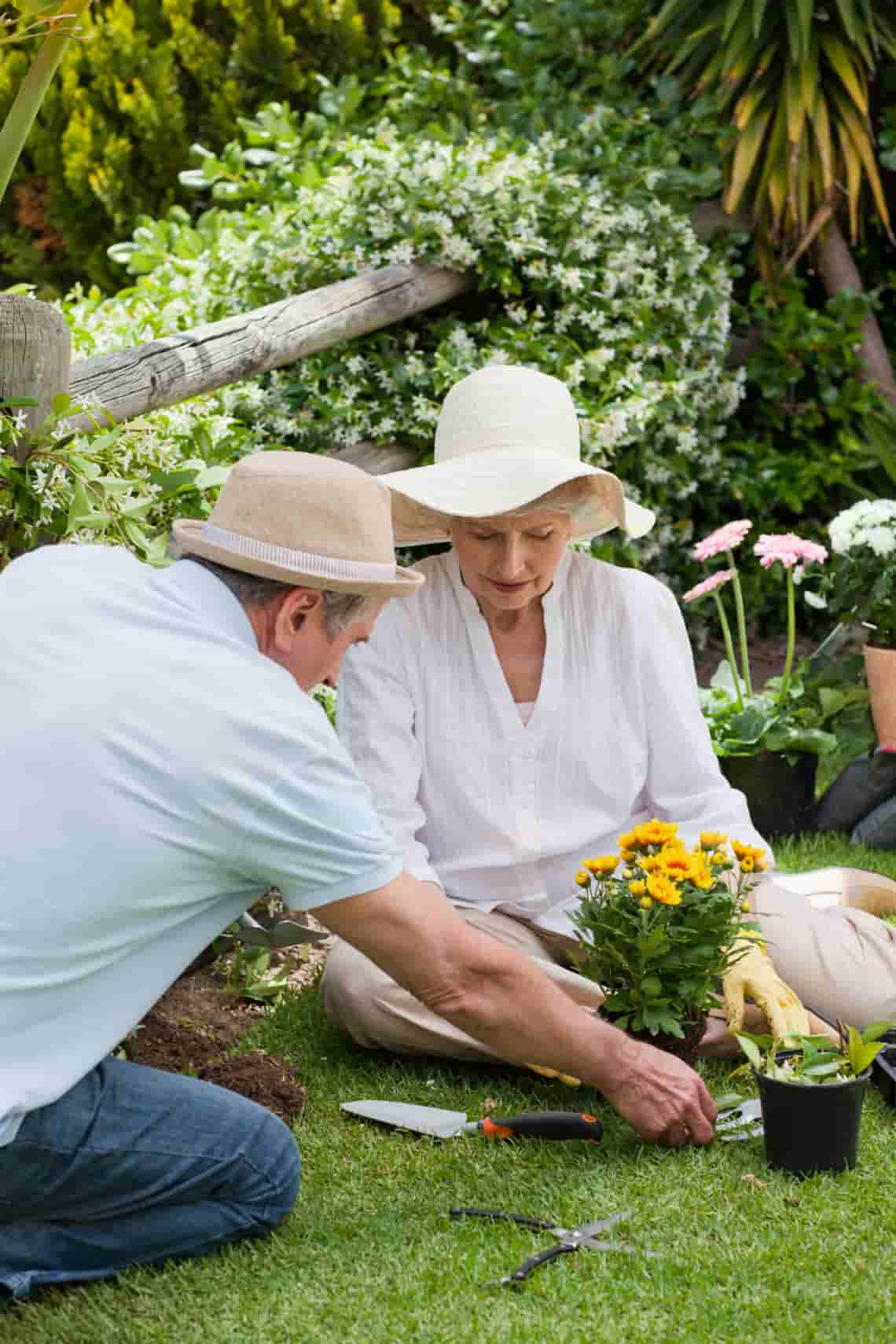 Mature couple working in the garden