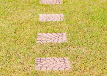 Garden walkways facing rectangular plate placed on the lawn in the garden.