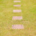 Garden walkways facing rectangular plate placed on the lawn in the garden.
