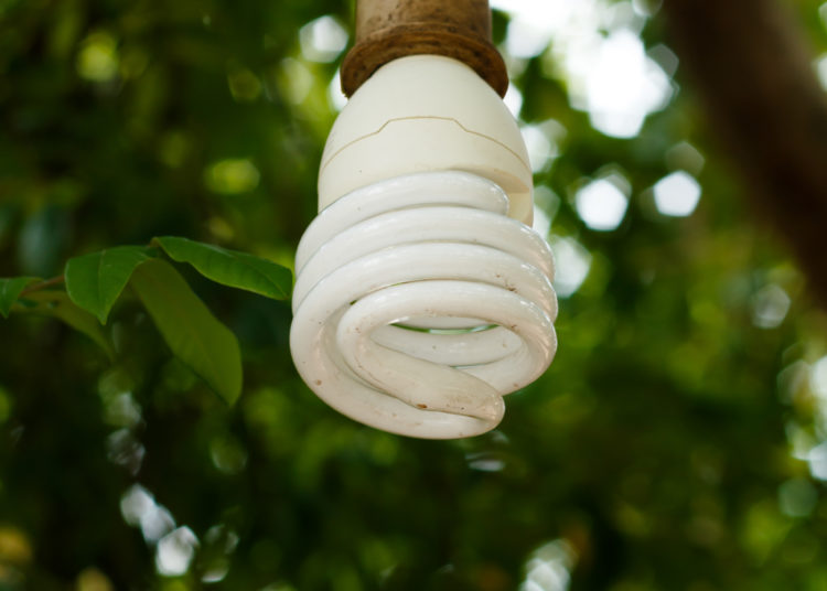 Energy saving lamp hanging on tree.