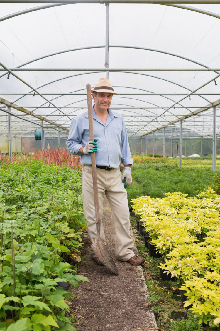 Gardener holding a spade while smiling and standing in greenhouse