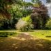 Beautiful garden in the summer