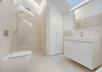 [ Guest] Bathtub or Walk-in Shower – Which One is the Right Choice?