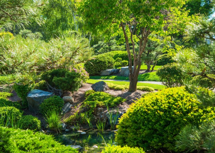 Japanese Garden in Spring with Many Different Plants. Peace and Calm Garden.