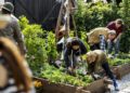 Group of people planting vegetable in greenhouse