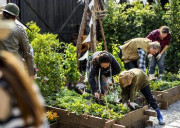Group of people planting vegetable in greenhouse
