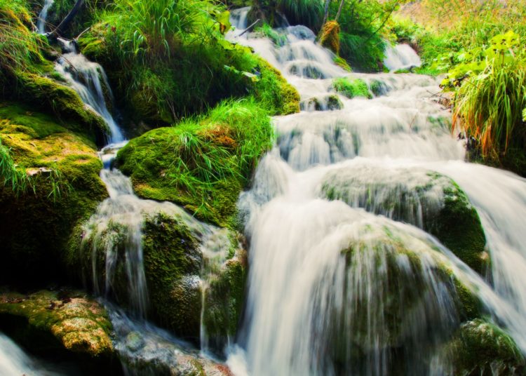 Waterfall in forest.