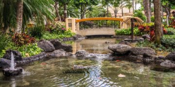 Garden pond