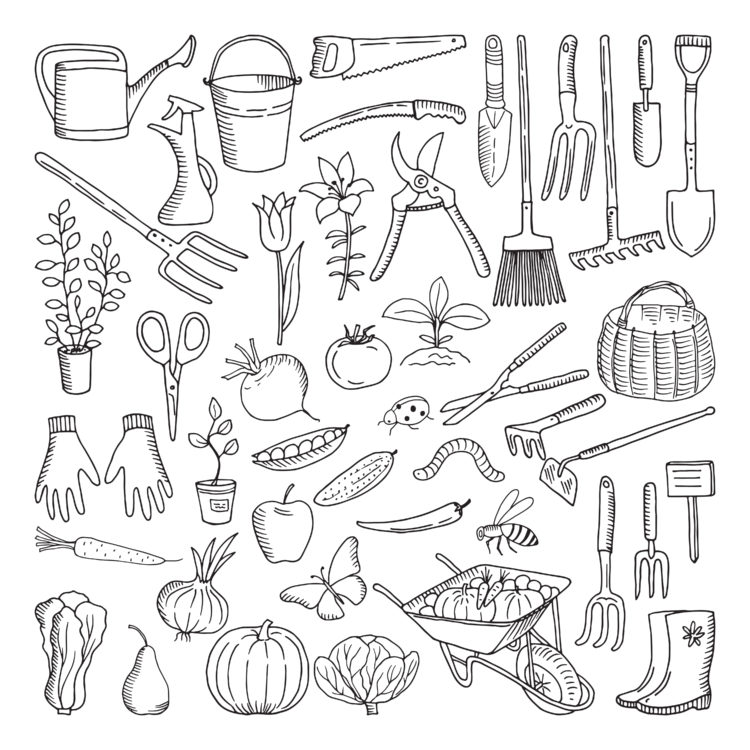 Hand drawn tools for farming and gardening. Doodle of nature environment. Agriculture and farm equipments wheelbarrow and secateurs, farming tools illustration