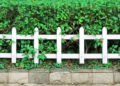 White fence and green plants