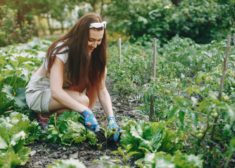 Woman works in a garden. Lady in a blue gloves