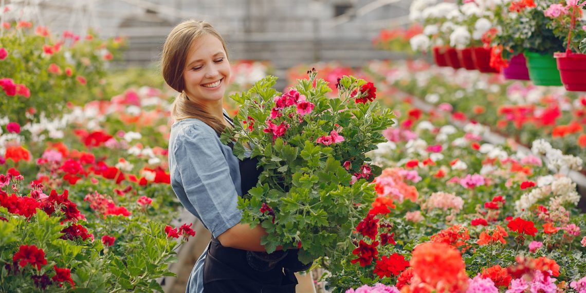 Woman in a greenhouse. Lady works with flowerpoots. Girl in a black apron.