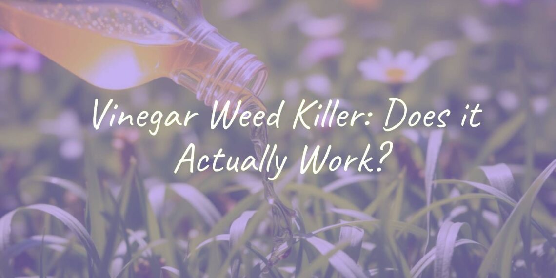 A bottle of vinegar pouring onto weeds in a garden, natural lighting, realistic.