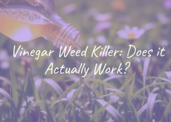 A bottle of vinegar pouring onto weeds in a garden, natural lighting, realistic.