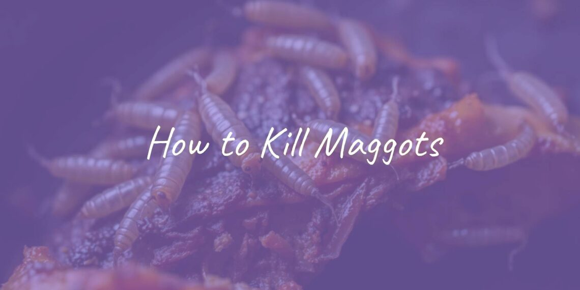 Disgusting maggots on rotting food, close-up, dark and dirty background, realistic.