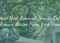 A wasp nest hanging from a tree near a house, with a safe removal process being demonstrated, realistic.