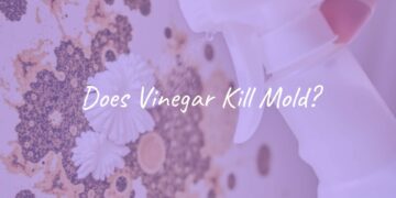 Close-up of white vinegar spray bottle and moldy surface being cleaned, natural light, realistic.