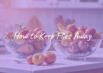 A clean kitchen counter with no flies, fresh fruits in a bowl, bright lighting, inviting, natural solutions, hyperrealistic.