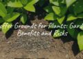 Coffee grounds scattered around plants in a garden, moist soil, vibrant green leaves, natural sunlight, realistic.