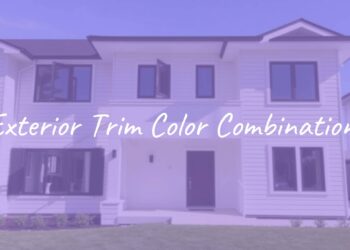 Modern house exterior with contrasting trim colors, clean lines, sunny day, realistic.