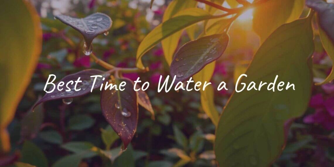 Vibrant garden at sunrise, water droplets on leaves, early morning sunlight, peaceful and fresh atmosphere, realistic.