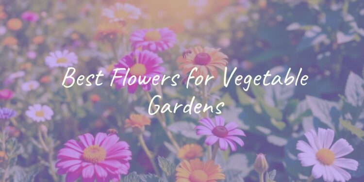 Colorful vegetable garden with flowers blooming among vegetables, bright sunlight, bees pollinating, lush greenery, realistic.