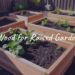 Raised garden beds made of cedar wood, filled with fresh soil and growing vegetables, sunny backyard setting, realistic.